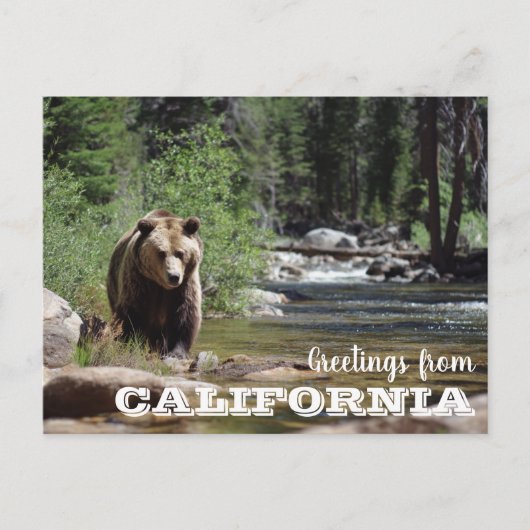 Activiteiten in de omgeving van California Grizzly Briefkaart (Voorkant)