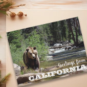 Activiteiten in de omgeving van California Grizzly Briefkaart