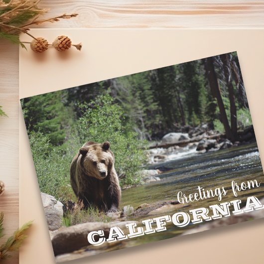 Activiteiten in de omgeving van California Grizzly Briefkaart