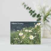 Activiteiten in de omgeving van California Wildflo Briefkaart (Staand voorkant)