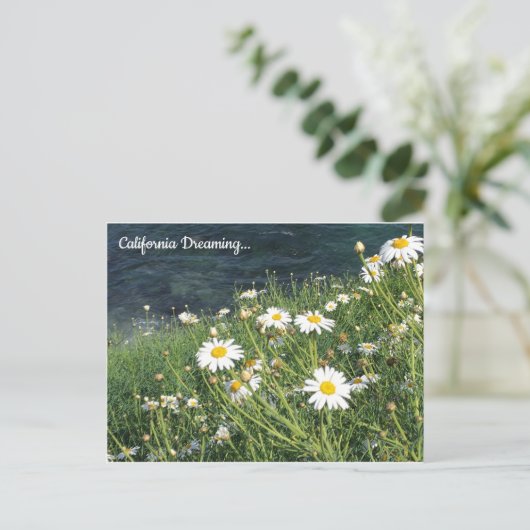 Activiteiten in de omgeving van California Wildflo Briefkaart (Staand voorkant)