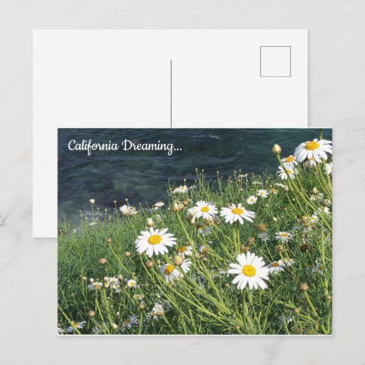 Activiteiten in de omgeving van California Wildflo Briefkaart (Voorkant / Achterkant)