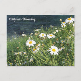 Activiteiten in de omgeving van California Wildflo Briefkaart