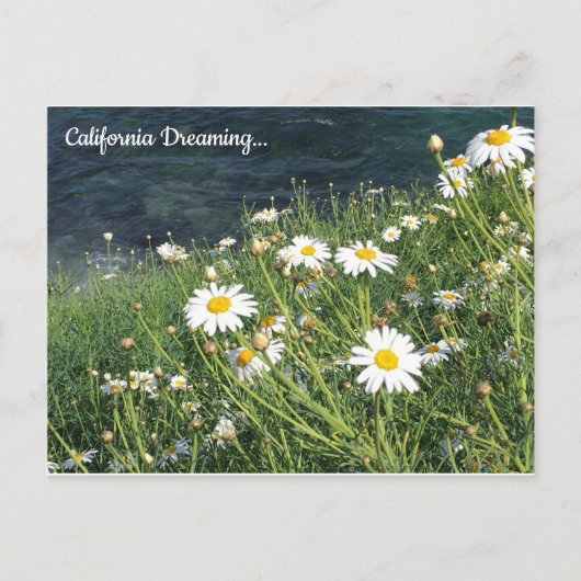 Activiteiten in de omgeving van California Wildflo Briefkaart (Voorkant)