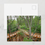 Activiteiten in de omgeving van Canopy Walk, Black Briefkaart (Voorkant / Achterkant)