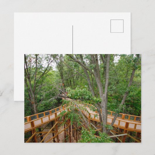 Activiteiten in de omgeving van Canopy Walk, Black Briefkaart (Voorkant / Achterkant)