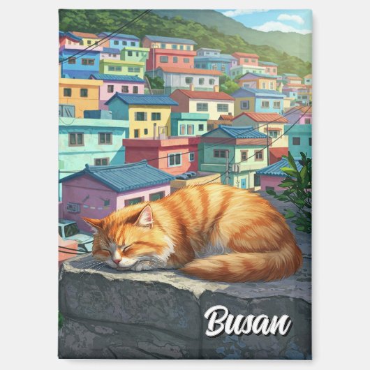 Activiteiten in de omgeving van Cat in Gamcheon Cu Magneet (Voorkant)