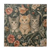 Activiteiten in de omgeving van Cats in a William  Tegeltje (Voorkant)