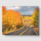 Activiteiten in de omgeving van Celebration of Lif Gastenboek (Achterkant)