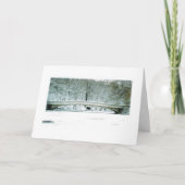 Activiteiten in de omgeving van Central Park, NYC, Feestdagen Kaart (Voorkant)