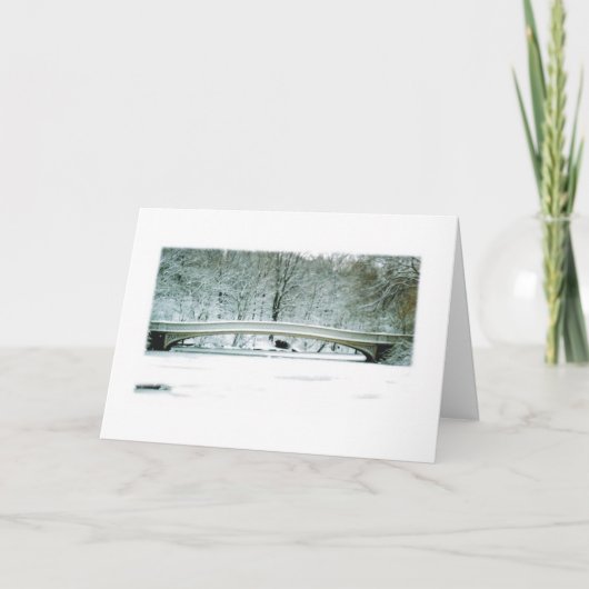 Activiteiten in de omgeving van Central Park, NYC, Feestdagen Kaart (Voorkant)