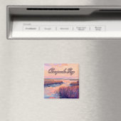 Activiteiten in de omgeving van Chesapeake Bay Ann Magneet (Insitu (Vaatwasser))