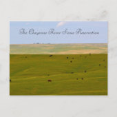 Activiteiten in de omgeving van Cheyenne River Sio Briefkaart (Voorkant)