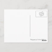 Activiteiten in de omgeving van Chicago Millennium Briefkaart (Achterkant)