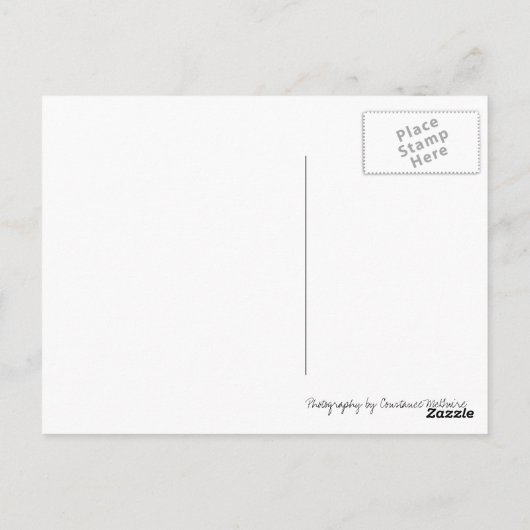 Activiteiten in de omgeving van Chicago Millennium Briefkaart (Achterkant)