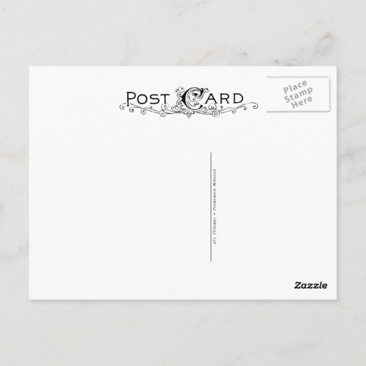 Activiteiten in de omgeving van Chicago Skyline Ar Briefkaart (Achterkant)