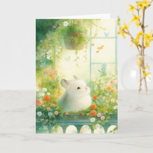 Activiteiten in de omgeving van Chinchilla Peacefu Kaart (Gele Bloem)