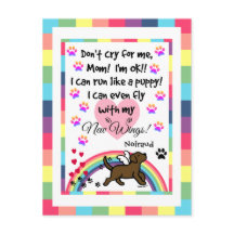 Activiteiten in de omgeving van Chocolate Labrador