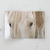 Activiteiten in de omgeving van Cloud Walks at Sun Kaart (Binnen)