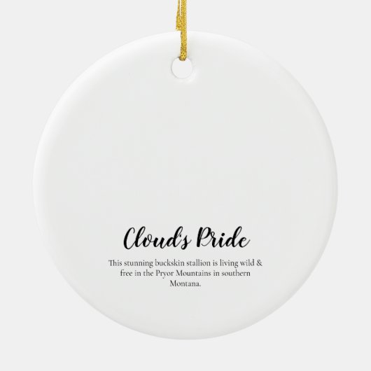 Activiteiten in de omgeving van Cloud's Pride: Pry Keramisch Ornament (Achterkant)