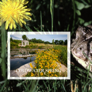 Activiteiten in de omgeving van Coldwater Spring P Briefkaart