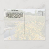 Activiteiten in de omgeving van Coldwater Spring P Briefkaart (Achterkant)