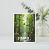 Activiteiten in de omgeving van Congaree National  Briefkaart (Staand voorkant)