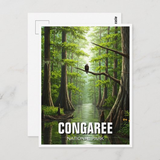 Activiteiten in de omgeving van Congaree National  Briefkaart (Voorkant / Achterkant)