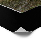 Activiteiten in de omgeving van Coyote Creek Rainy Poster (Hoek)