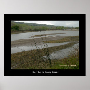 Activiteiten in de omgeving van Coyote Creek Rainy Poster