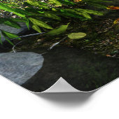 Activiteiten in de omgeving van Creek Daz Studio D Poster (Hoek)