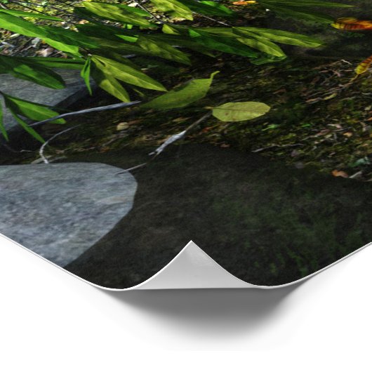 Activiteiten in de omgeving van Creek Daz Studio D Poster (Hoek)