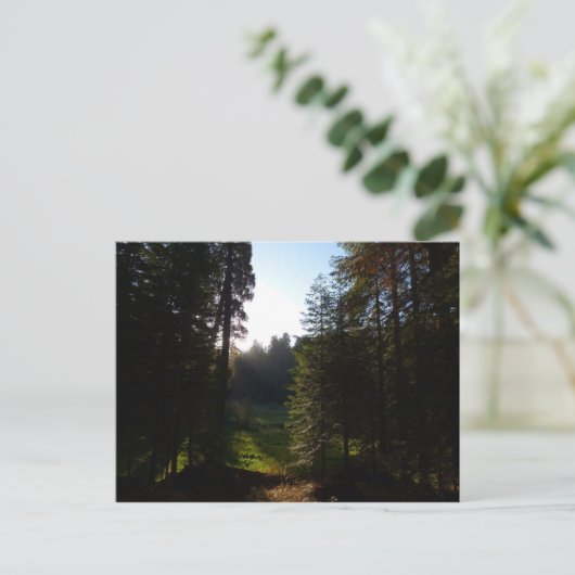 Activiteiten in de omgeving van Crescent Meadow Mo Briefkaart (Staand voorkant)