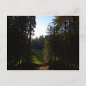 Activiteiten in de omgeving van Crescent Meadow Mo Briefkaart (Voorkant)