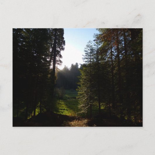 Activiteiten in de omgeving van Crescent Meadow Mo Briefkaart (Voorkant)