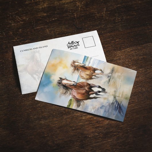 Activiteiten in de omgeving van Cumberland Island Kaart