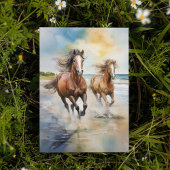 Activiteiten in de omgeving van Cumberland Island Kaart