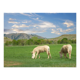 Activiteiten in de omgeving van Custer State Park Foto Afdruk