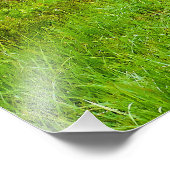 Activiteiten in de omgeving van Custer State Park  Foto Afdruk (Hoek)