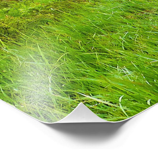 Activiteiten in de omgeving van Custer State Park  Foto Afdruk (Hoek)