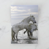 Activiteiten in de omgeving van Dawn Horse Wenskaa Kaart (Binnen)