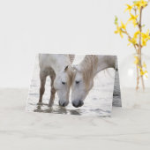 Activiteiten in de omgeving van Dawn Horse Wenskaa Kaart (Gele Bloem)