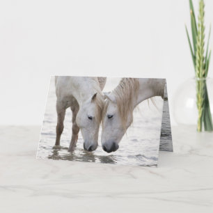 Activiteiten in de omgeving van Dawn Horse Wenskaa Kaart