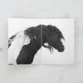 Activiteiten in de omgeving van Dawn Wild Horse We Kaart (Binnen)