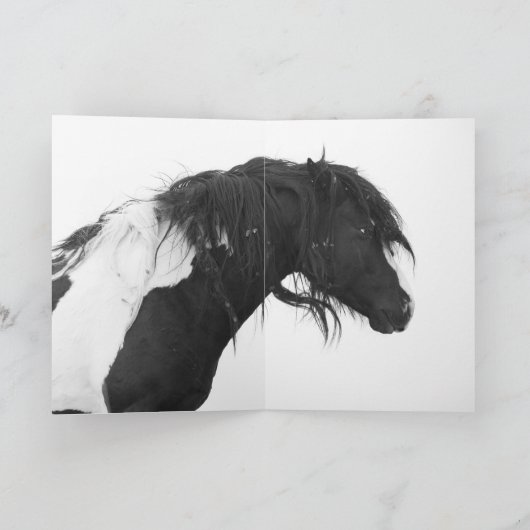 Activiteiten in de omgeving van Dawn Wild Horse We Kaart (Binnen)