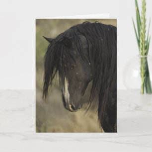 Activiteiten in de omgeving van Dawn Wild Horse We Kaart