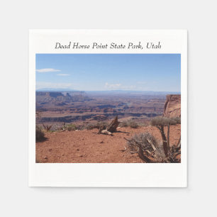 Activiteiten in de omgeving van Dead Horse Point S Servet