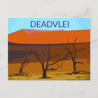 Activiteiten in de omgeving van Deadvlei Namibia T Briefkaart