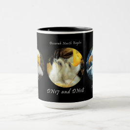 Activiteiten in de omgeving van Decorah North Eagl Mok