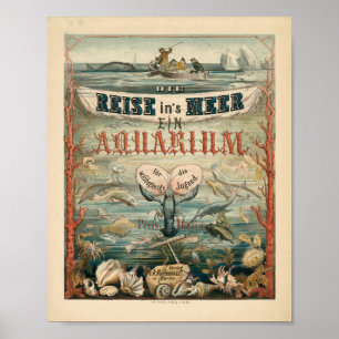 Activiteiten in de omgeving van Die Reise's Meer,  Poster